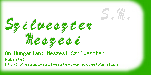 szilveszter meszesi business card